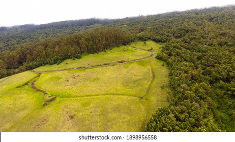 Waipoli Road, Kula, Maui, Hawaii