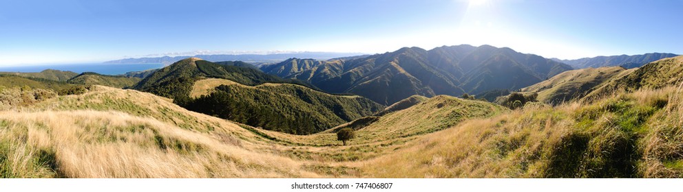 Wairarapa Panorama