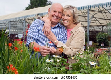 Waist up portrait of a joyous senior couple in a nursery amongst the plants with the woman embracing the man looking at the camera. Foto Stock
