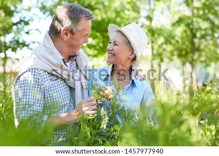 Waist up portrait of loving senior couple looking at each other and laughing cheerfully while enjoying walk in forest, copy space