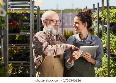 Waist up portrait of smiling senior farmer using digital tablet while instructing young female worker in plantation lit by sunlight, copy space - Powered by Shutterstock