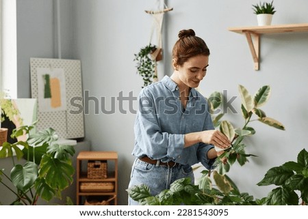 Waist up portrait of smiling young woman caring for lush greenery at home and inspecting plants