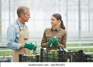 Waist Up Portrait Of Two Workers Man And Young Woman Talking To Each Other At Flower Plantation In Greenhouse, Copy Space