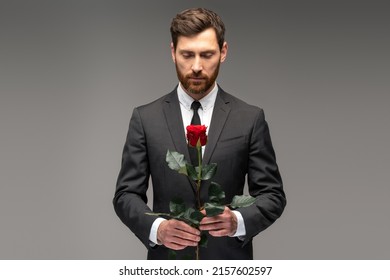 Waist up portrait view of the caucasian handsome man hold the red rose with love on grey background. Gentleman concept 