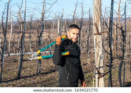 Waist up portrait of the young man in black jacket and orange gloves stands among his fruitgarden, holds shears in hands and looking at the camera, sunny winter, spring day