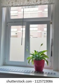 a wait across the window ,white and bright pot 