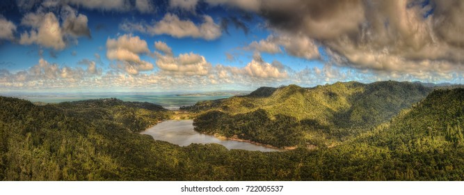 Waitakere Ranges Regional Park New Zealand