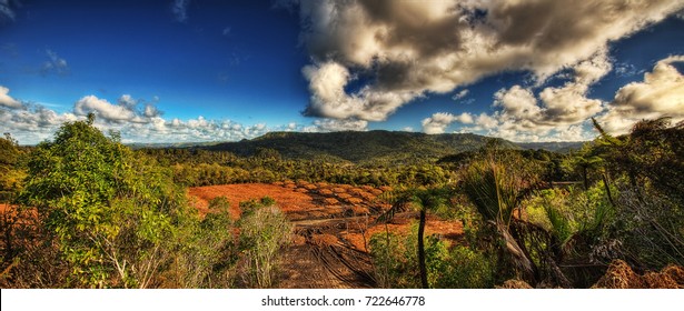 Waitakere Ranges Regional Park New Zealand