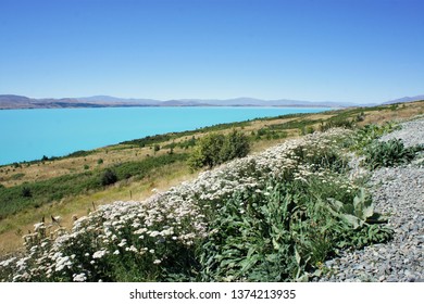 Waitaki District NZ