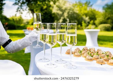 Waiter holding a tray with champagne glasses and appetizers at an outdoor garden event - Powered by Shutterstock