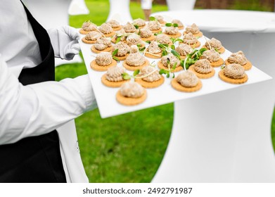 A waiter holding a tray of gourmet canapés at an outdoor event, with focus on the appetizers - Powered by Shutterstock