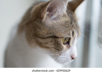 Waiting