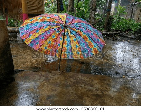 waiting for the rain to fall again