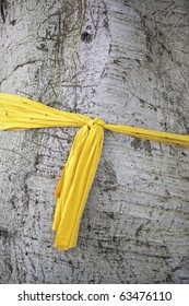 Waiting With Yellow Ribbon Tied Around Old Scarred Tree