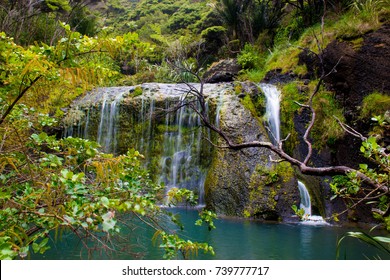 Waitohi Falls At Waitakere Ranges