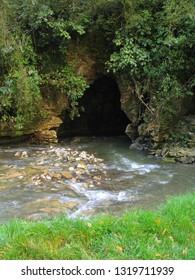 Waitomo Caves. New Zealand