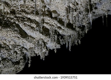 Waitomo Caves In New Zeland