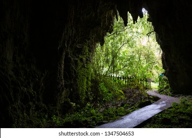 Waitomo Glowworm Caves, New Zealand