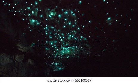 Waitomo Glowworm Caves, New Zealand