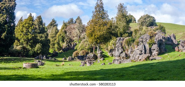 Waitomo, New Zealand