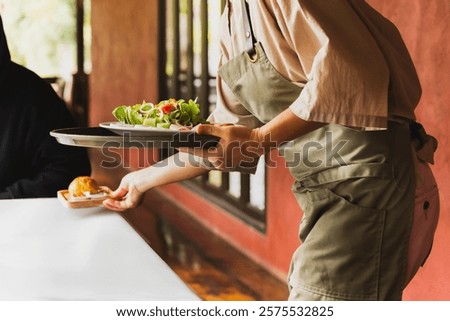 Waitress serving green vegetable salad with bread bun in the morning.