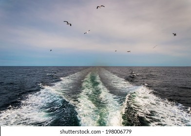 Wake From A Boat In The Atlantic Ocean And Seagulls.