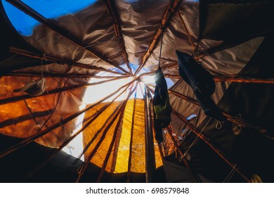 Wake Up View From Mongolia Tent At Taiga ,Mongolia