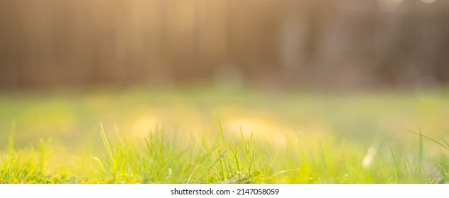 90,261 Waking nature Images, Stock Photos & Vectors | Shutterstock