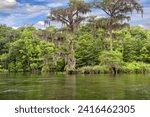 Wakulla Springs State Park, the world’s largest and deepest freshwater springs near Tallahassee, Florida