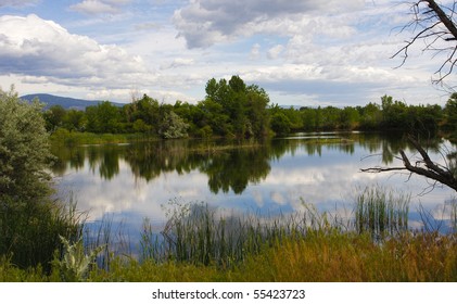 Walden Pond Reflection