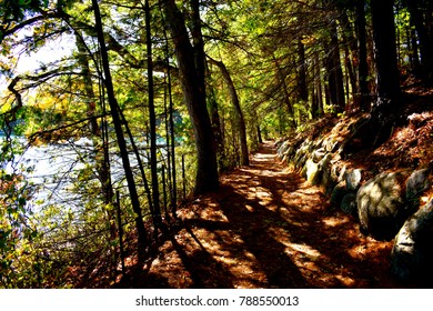 Walden Pond Trail