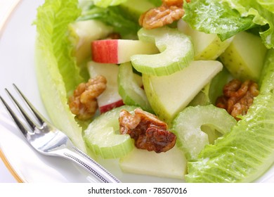 Waldorf Salad , Apple Diet Salad