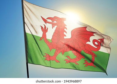 117 Welsh Coat Of Arms Images, Stock Photos & Vectors | Shutterstock