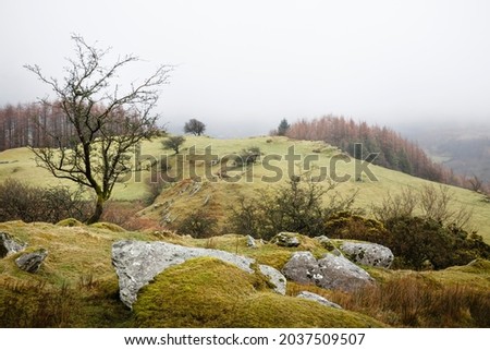 Wales landscape. Gwydyr Forest Park in winter, Snowdonia, Wales, UK