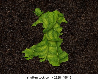 Wales map made of green leaves, concept ecology Map green leaf on soil background