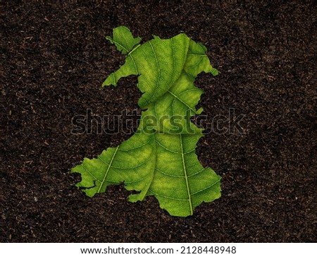 Wales map made of green leaves, concept ecology Map green leaf on soil background