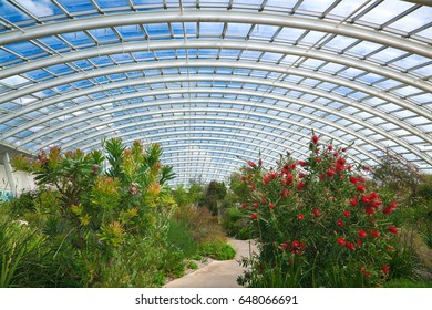 National Botanic Garden Wales Images Stock Photos Vectors