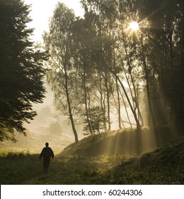 Walk Along The Forest In The Early Misty Morning