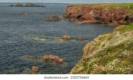 A walk along the Pembrokeshire Coast Path from St Brides towards Brandy Bay.