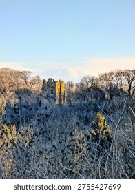 a walk around hackfall woods taking in the amazing sights