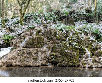 a walk around hackfall woods taking in the amazing sights