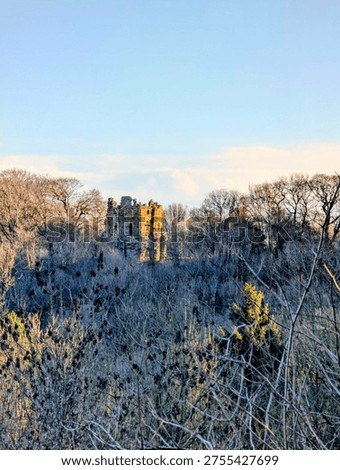 a walk around hackfall woods taking in the amazing sights