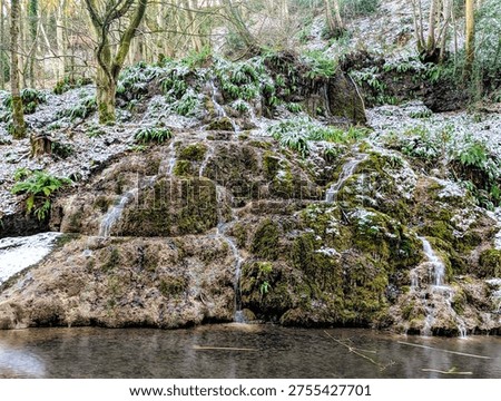 a walk around hackfall woods taking in the amazing sights