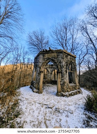 a walk around hackfall woods taking in the amazing sights