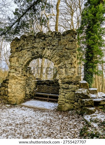 a walk around hackfall woods taking in the amazing sights