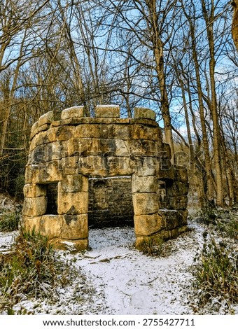a walk around hackfall woods taking in the amazing sights
