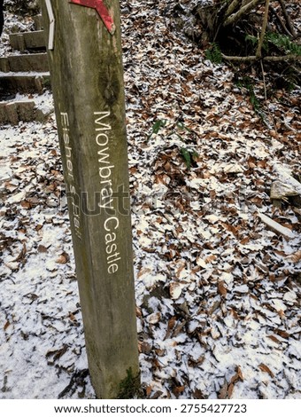 a walk around hackfall woods taking in the amazing sights