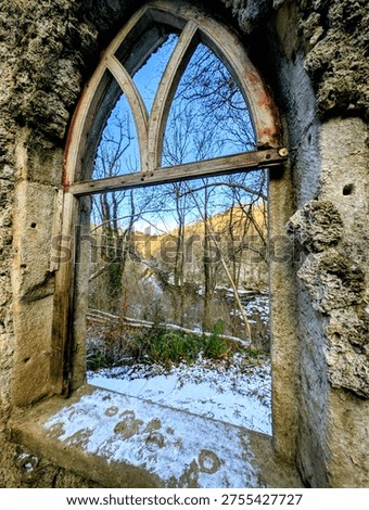 a walk around hackfall woods taking in the amazing sights