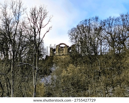 a walk around hackfall woods taking in the amazing sights