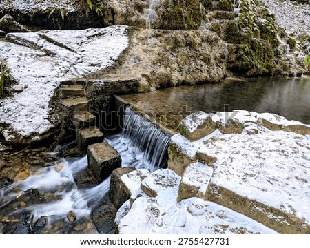 a walk around hackfall woods taking in the amazing sights